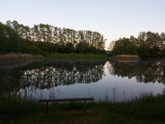 Karpfenteich