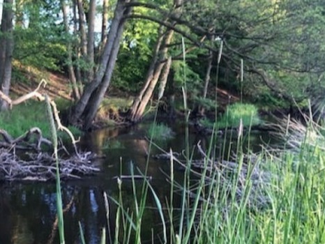 Fluss Stepenitz